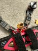 IMG_20170819_183415.jpg