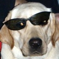Desert Dave
