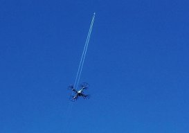 blue79