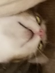 MyNameIsMud