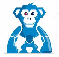 CrazyMonkeyFlyer