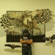 Loqman Hakim