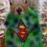Squirrel1138